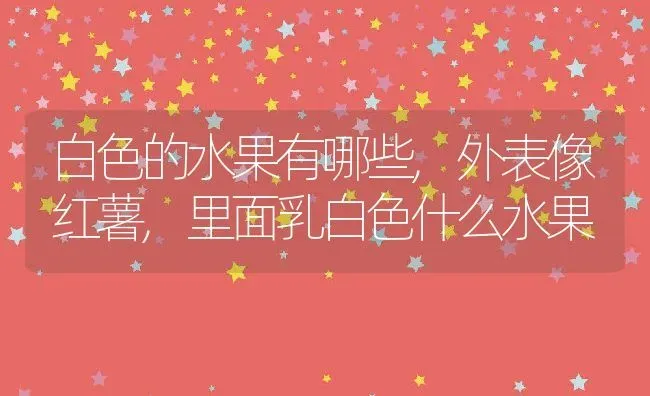 白色的水果有哪些,外表像红薯,里面乳白色什么水果 | 养殖学堂