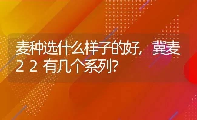 麦种选什么样子的好,冀麦22有几个系列？ | 养殖科普