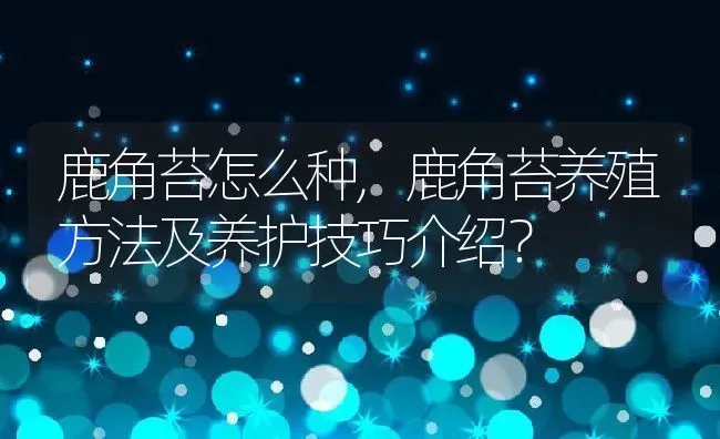 鹿角苔怎么种,鹿角苔养殖方法及养护技巧介绍？ | 养殖科普