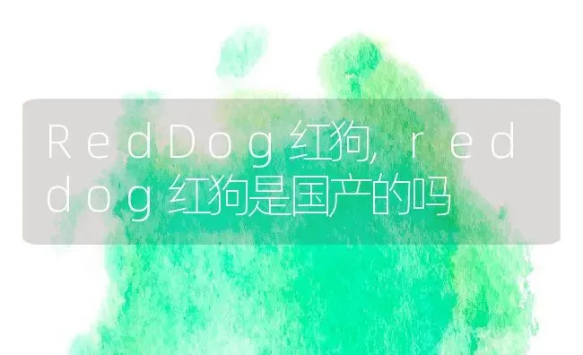 RedDog红狗,reddog红狗是国产的吗 | 养殖科普