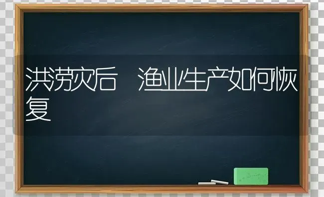 洪涝灾后 渔业生产如何恢复 | 养殖技术大全