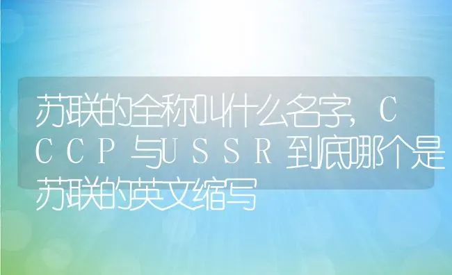 苏联的全称叫什么名字,CCCP与USSR到底哪个是苏联的英文缩写 | 养殖科普