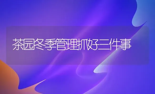 茶园冬季管理抓好三件事 | 养殖技术大全