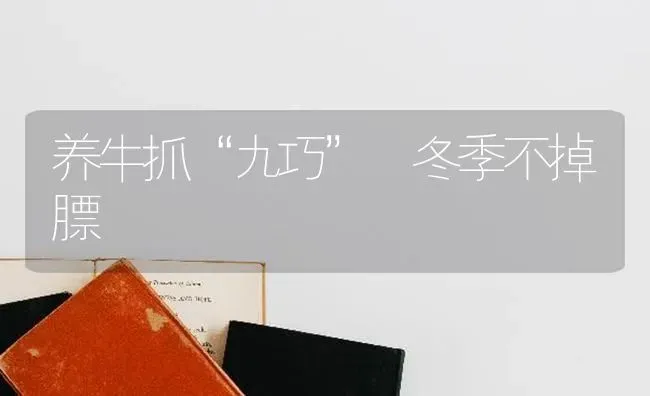 养牛抓“九巧” 冬季不掉膘 | 养殖技术大全