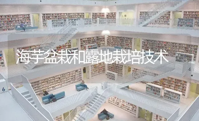 海芋盆栽和露地栽培技术 | 养殖技术大全