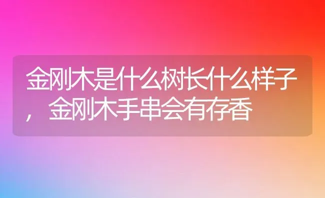 香葱种子怎么来的,香葱种子怎么来的 | 养殖科普