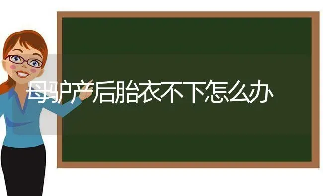 母驴产后胎衣不下怎么办 | 养殖技术大全