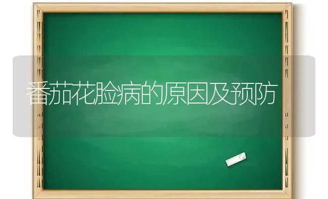 番茄花脸病的原因及预防 | 养殖技术大全