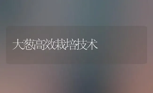 大葱高效栽培技术 | 养殖知识