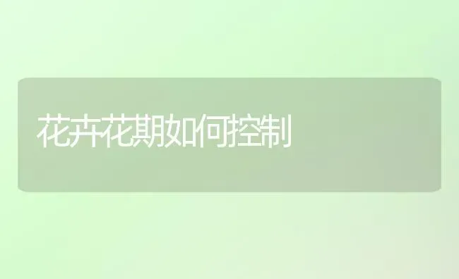 花卉花期如何控制 | 养殖技术大全