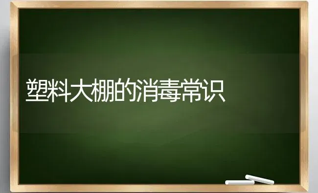 塑料大棚的消毒常识 | 养殖知识