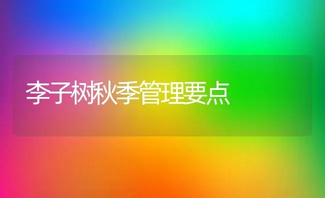 李子树秋季管理要点 | 养殖知识