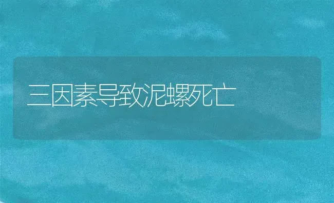 三因素导致泥螺死亡 | 养殖知识