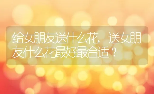 给女朋友送什么花,送女朋友什么花最好最合适？ | 养殖学堂