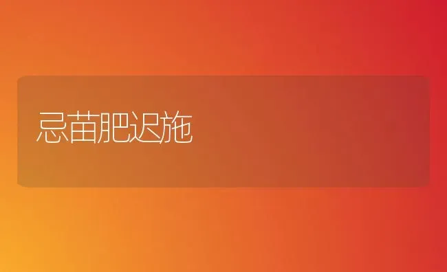 忌苗肥迟施 | 养殖技术大全