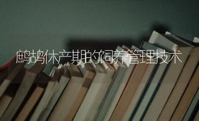 鹧鸪休产期的饲养管理技术 | 养殖技术大全