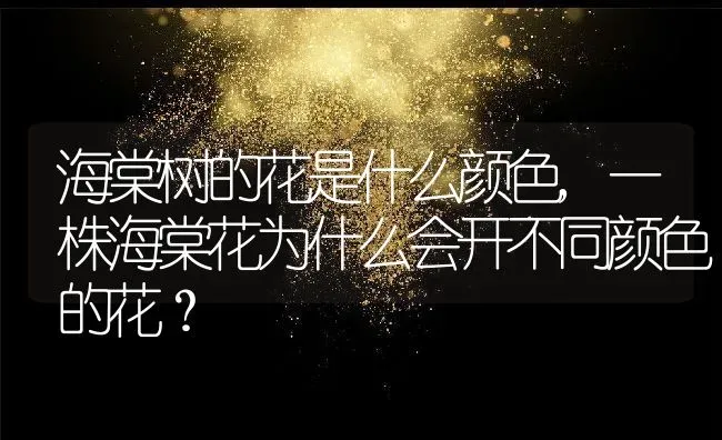 海棠树的花是什么颜色,一株海棠花为什么会开不同颜色的花？ | 养殖科普