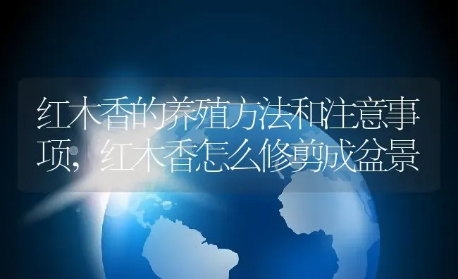 红木香的养殖方法和注意事项,红木香怎么修剪成盆景 | 养殖学堂