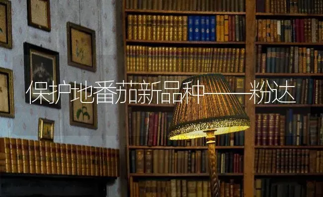 保护地番茄新品种——粉达 | 养殖知识