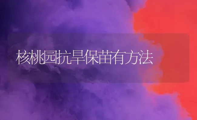 核桃园抗旱保苗有方法 | 养殖技术大全