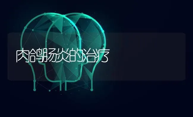 肉鸽肠炎的治疗 | 养殖知识