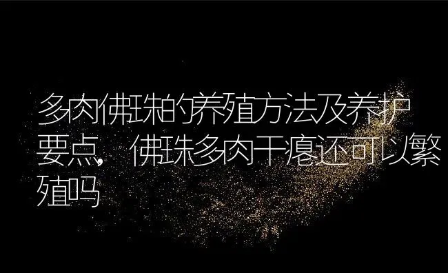 多肉佛珠的养殖方法及养护要点,佛珠多肉干瘪还可以繁殖吗 | 养殖学堂