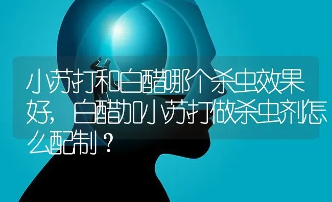 小苏打和白醋哪个杀虫效果好,白醋加小苏打做杀虫剂怎么配制？ | 养殖学堂