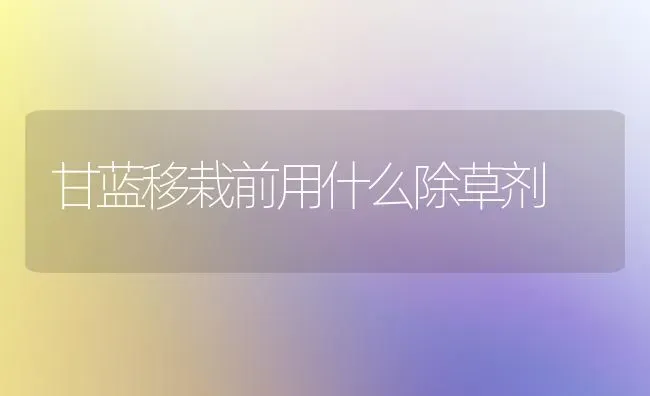 甘蓝移栽前用什么除草剂 | 养殖知识
