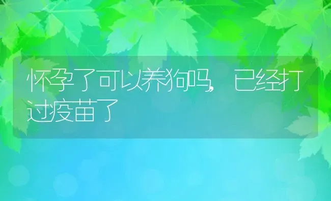 怀孕了可以养狗吗,已经打过疫苗了 | 养殖资料