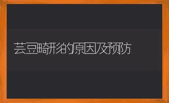 芸豆畸形的原因及预防 | 养殖知识