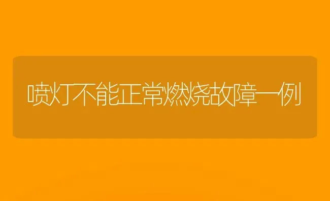 喷灯不能正常燃烧故障一例 | 养殖技术大全