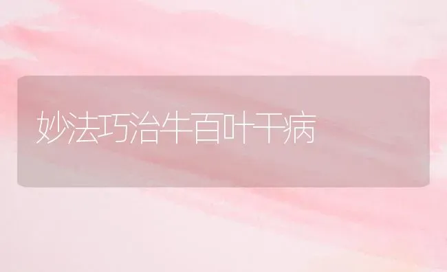 妙法巧治牛百叶干病 | 养殖知识