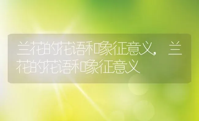 兰花的花语和象征意义,兰花的花语和象征意义 | 养殖科普
