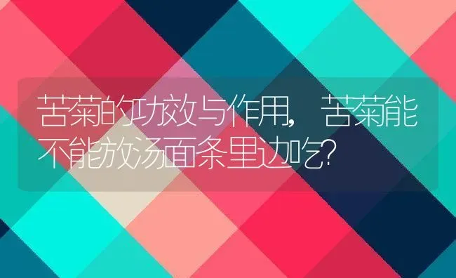 苦菊的功效与作用,苦菊能不能放汤面条里边吃？ | 养殖科普