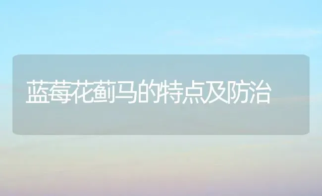 蓝莓花蓟马的特点及防治 | 养殖技术大全