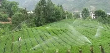 农业节水的主要措施 | 常识大全