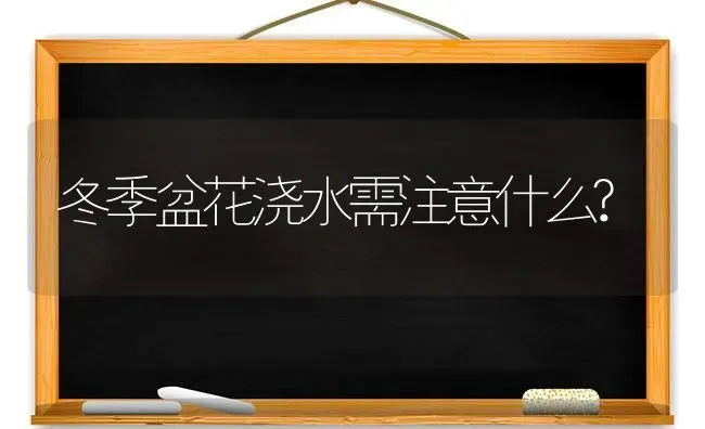 冬季盆花浇水需注意什么? | 养殖知识