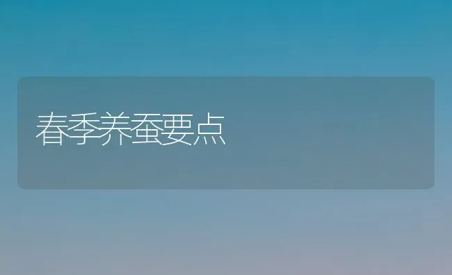 春季养蚕要点 | 养殖知识