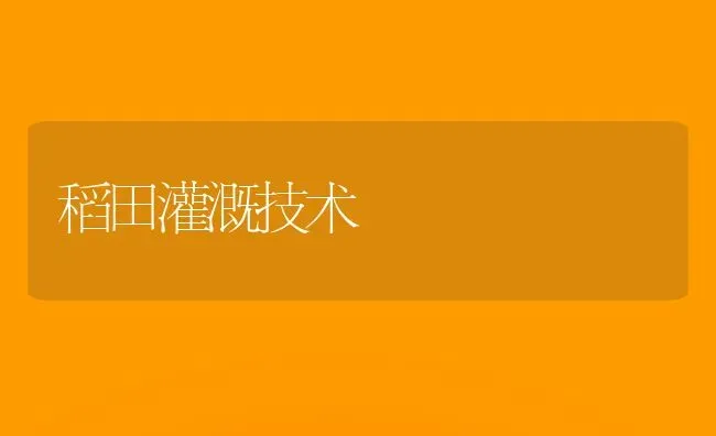 稻田灌溉技术 | 养殖知识