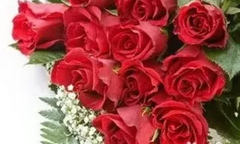送花有什么讲究,给情人送花有什么讲究？