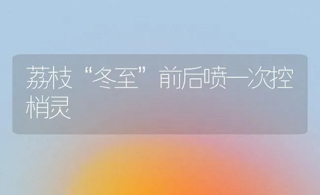 荔枝“冬至”前后喷一次控梢灵 | 养殖知识
