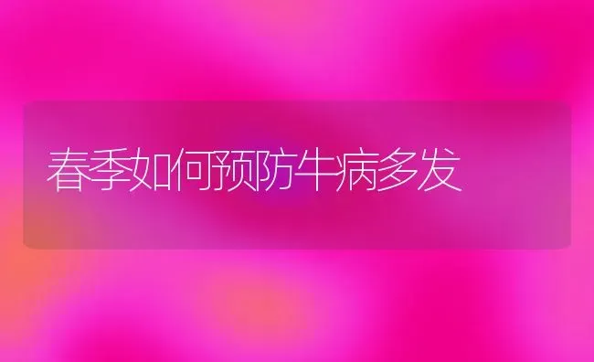 春季如何预防牛病多发 | 养殖技术大全
