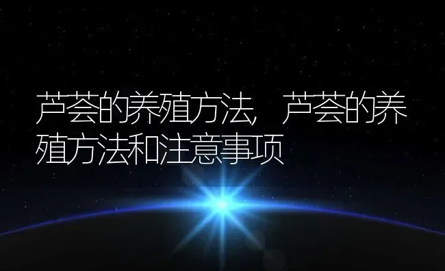 芦荟的养殖方法,芦荟的养殖方法和注意事项 | 养殖资料