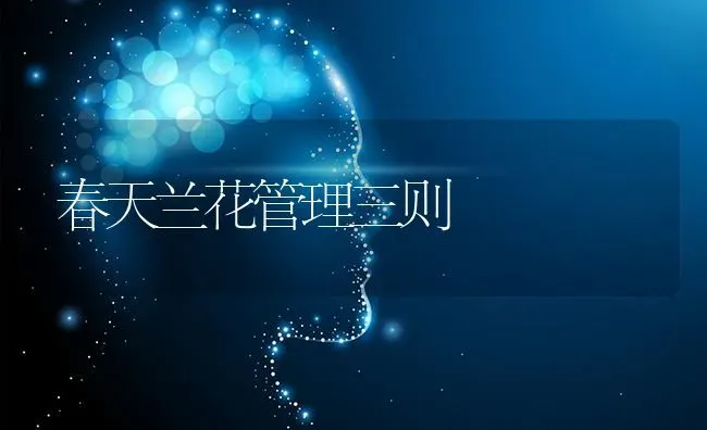 春天兰花管理三则 | 养殖知识