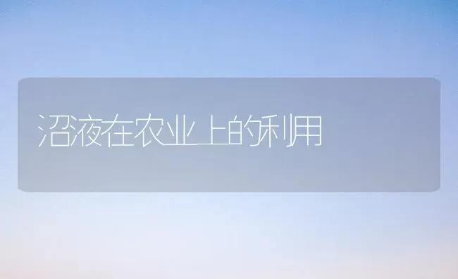 沼液在农业上的利用 | 养殖技术大全