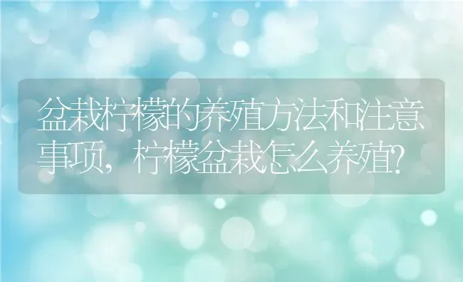 鸡肠子怎么做好吃,鸡肠子怎么做好吃又简单 | 养殖科普