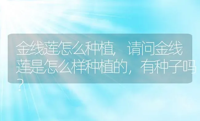 金线莲怎么种植,请问金线莲是怎么样种植的，有种子吗？ | 养殖科普