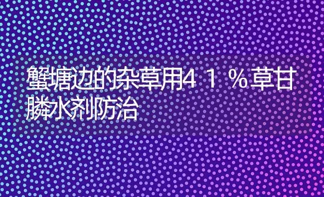 蟹塘边的杂草用41%草甘膦水剂防治 | 养殖知识