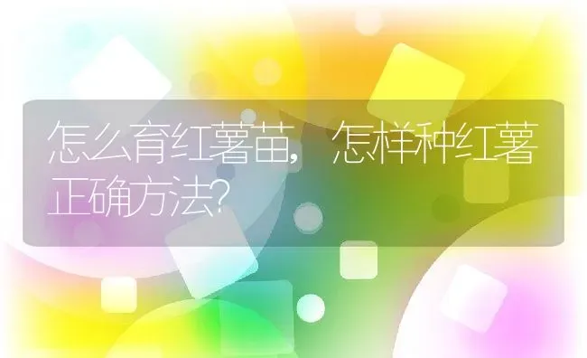 怎么育红薯苗,怎样种红薯正确方法？ | 养殖科普