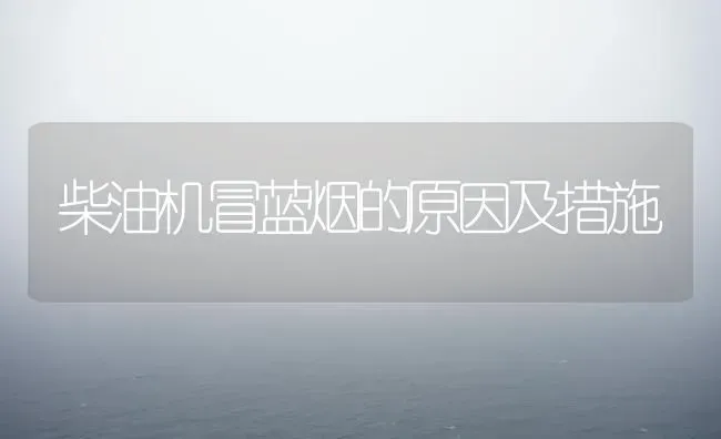 柴油机冒蓝烟的原因及措施 | 养殖技术大全